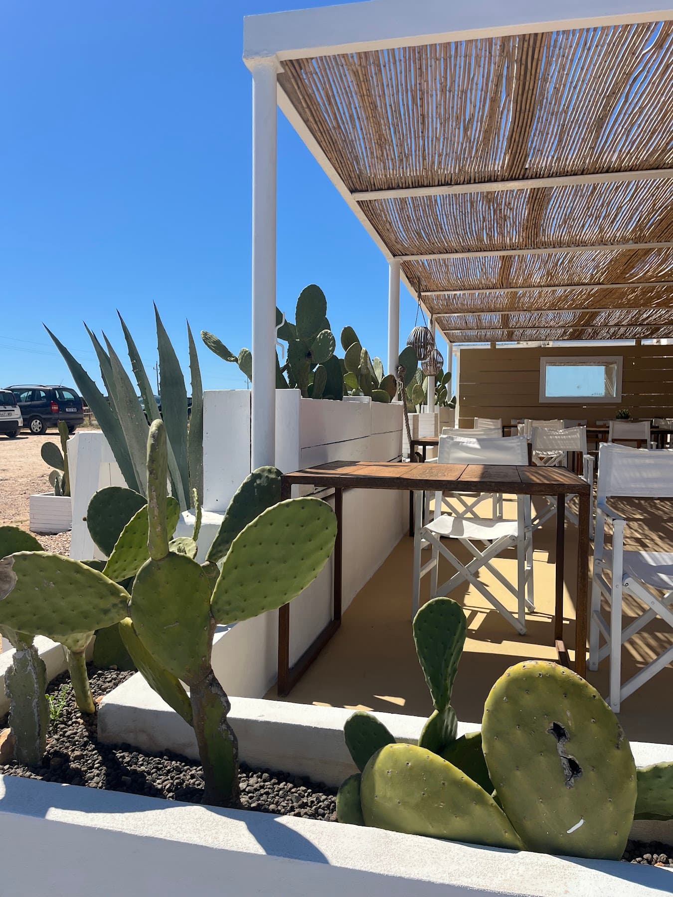 A cane-roofed terrace with wooden tables behind a bed of prickly pear and agave.