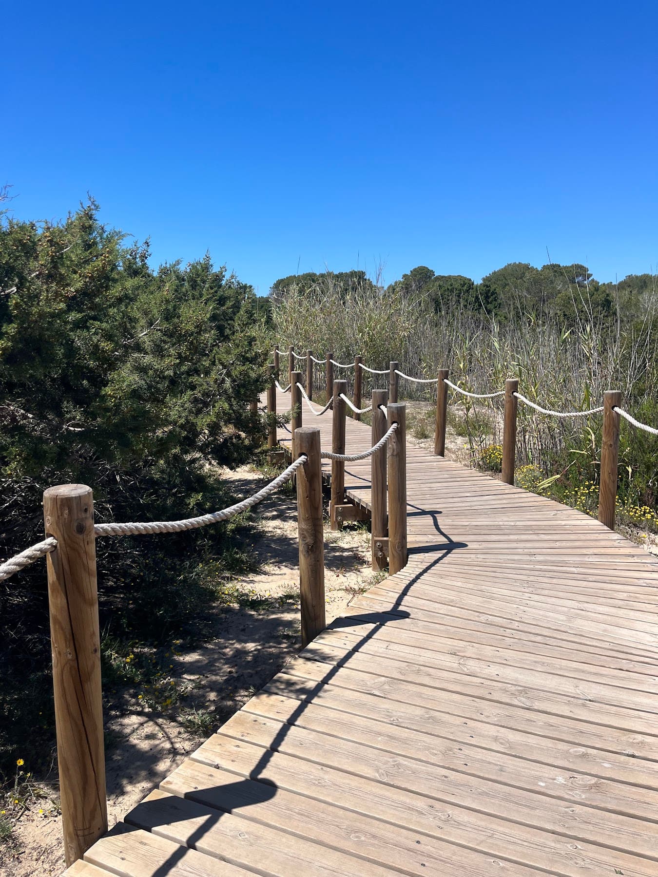 Formentera, from the ride: photo 6 of 38