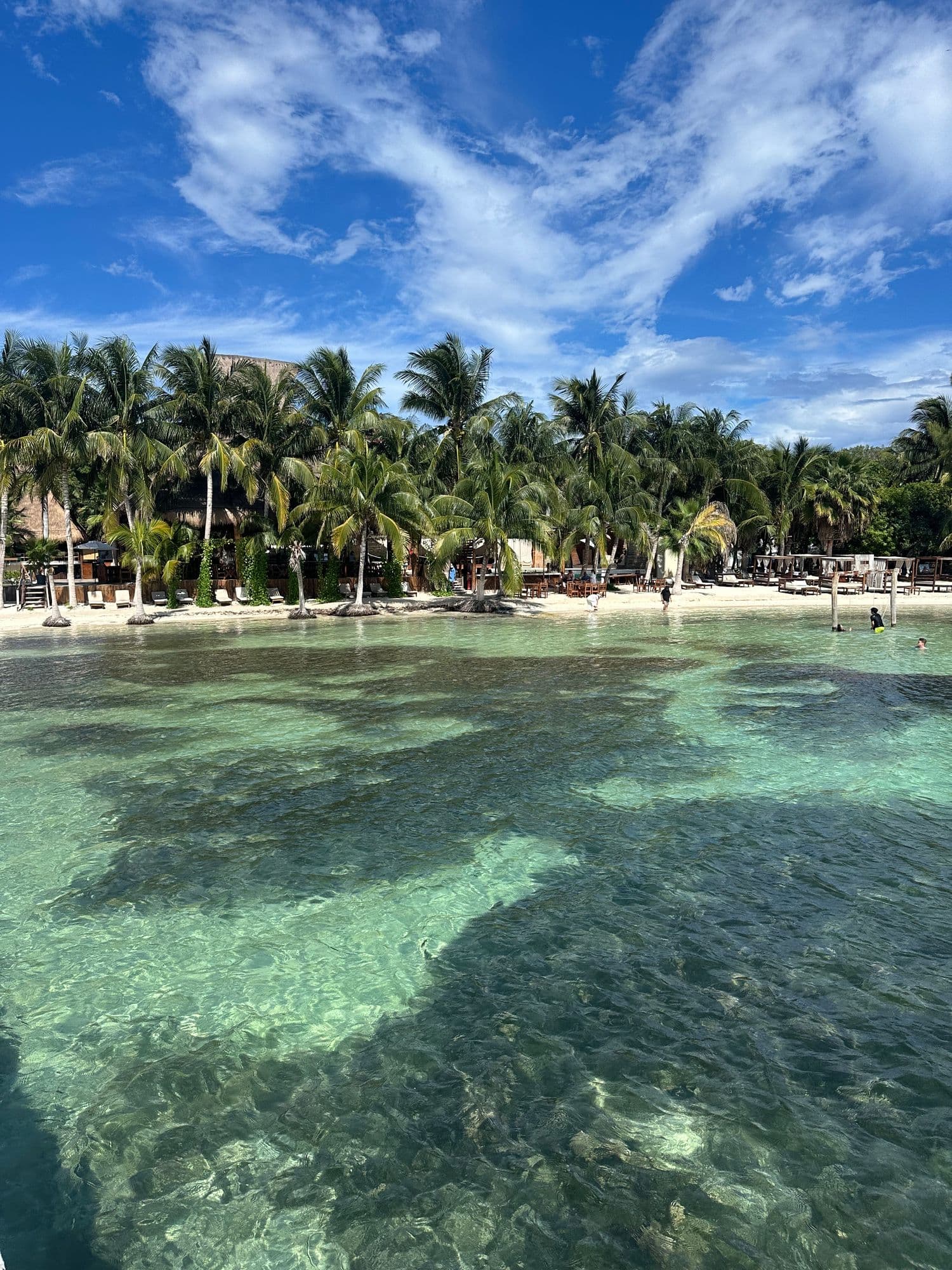 Clear green-blue shallows in front of a palm-lined beach under a bright sky.